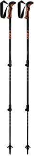 pair of hiking poles